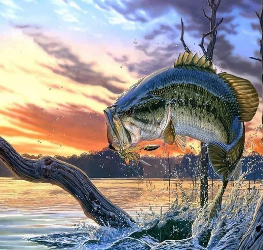 Bass in the Lake