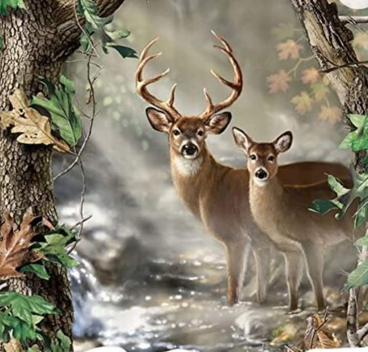 Deer in the Creek